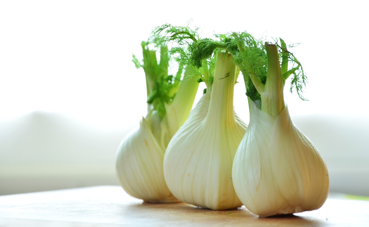 fennel, vegetables, fennel bulbs