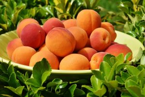 peaches, fruits, bowl