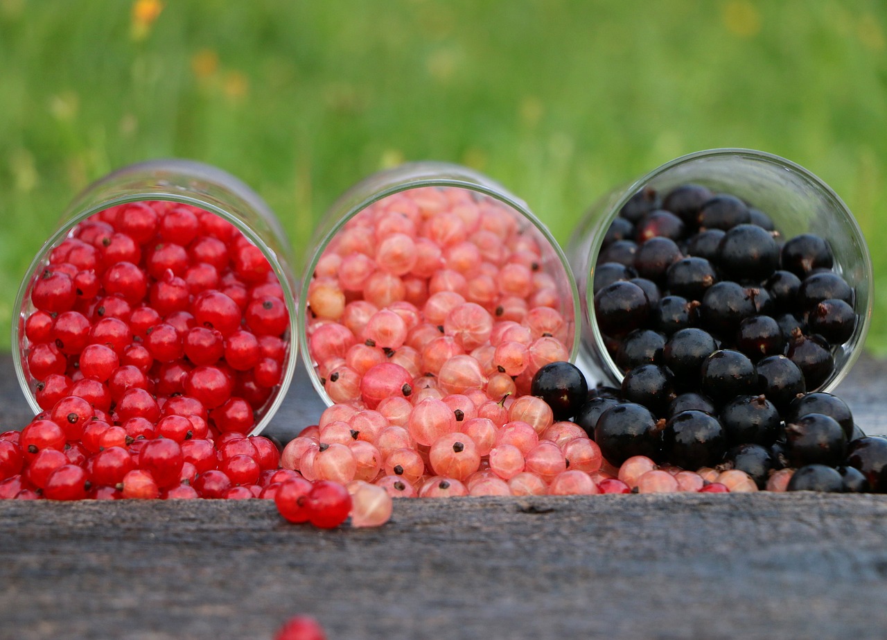 currant, grade, cup