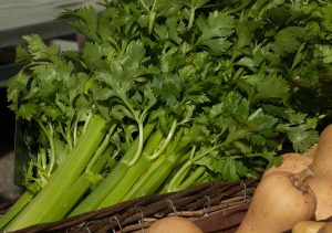 vegetables, celery, turnips