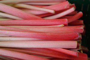rhubarb, stalk, red