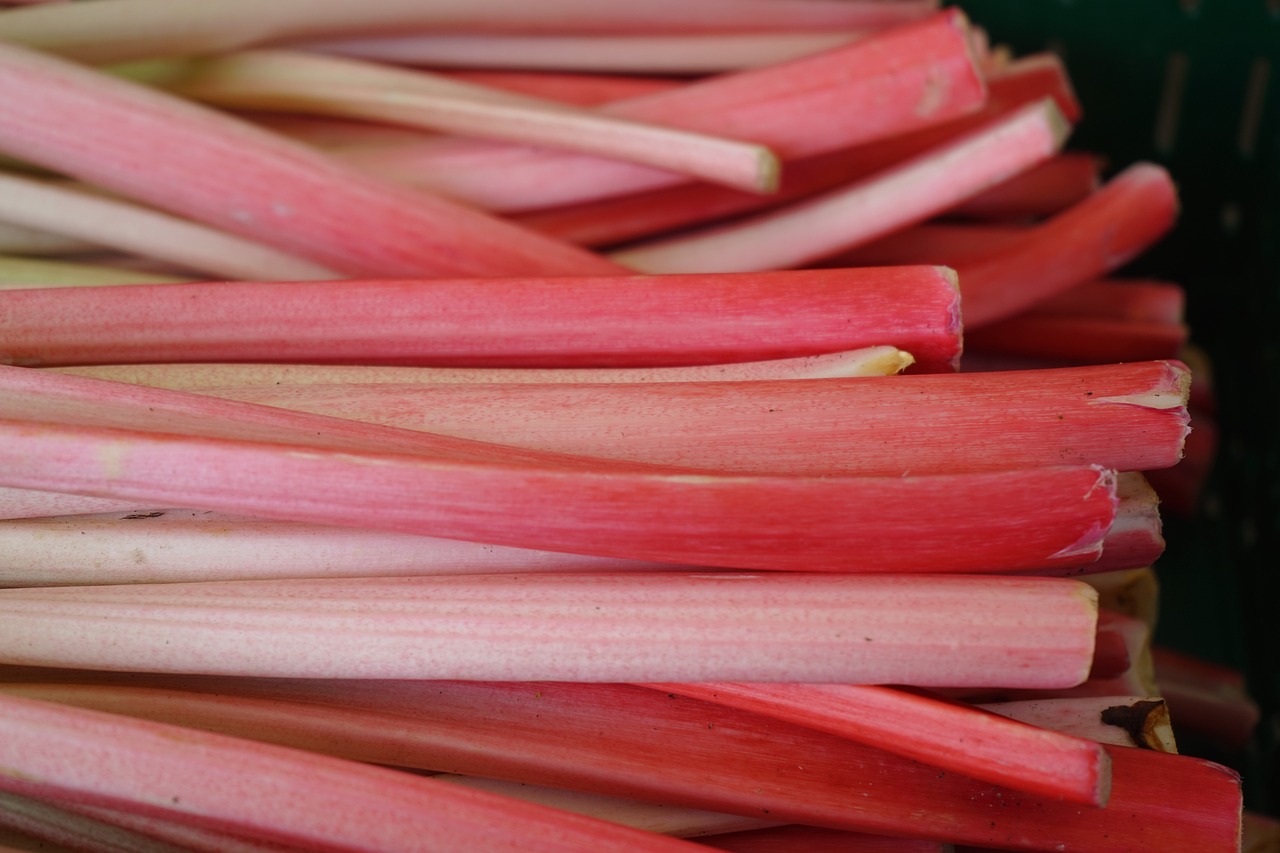 rhubarb, stalk, red