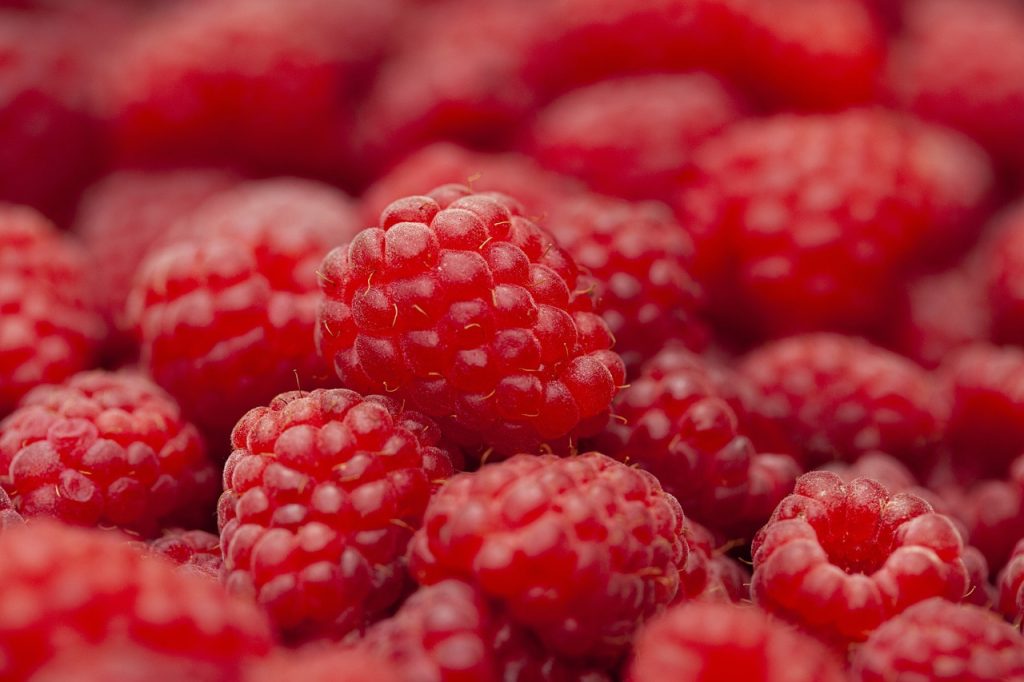 raspberry, fruit, berries