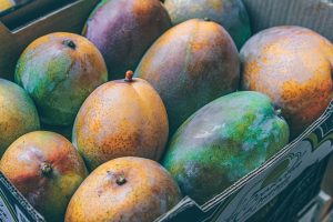 mangoes, harvest, produce