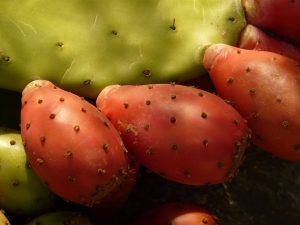 prickly pear, cactus, figs