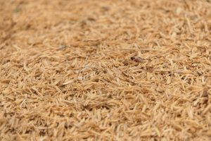 a close up of a pile of brown rice